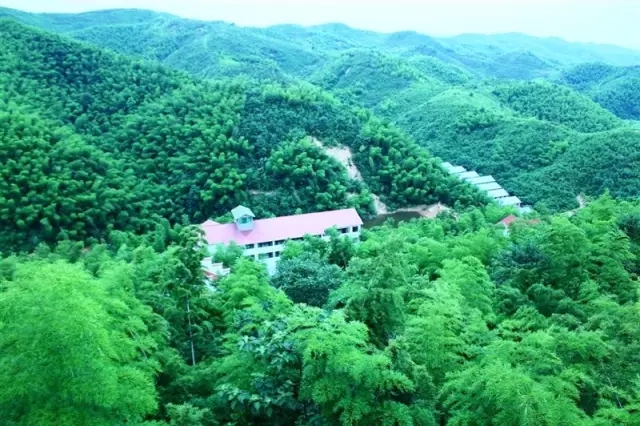 国庆各省旅游收入排行_张家界乡村旅游收入
