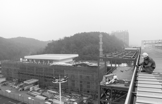 1月11日，长株潭城际铁路生态动物园站主体建成，并已挂上醒目的站牌。图/记者谢长贵