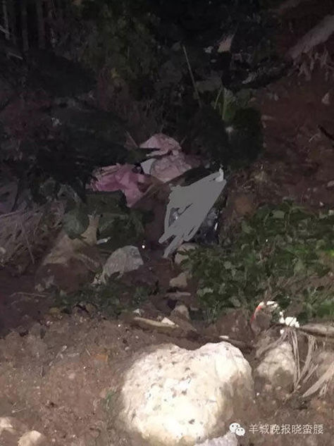 广州11岁女孩学校附近失联遇害