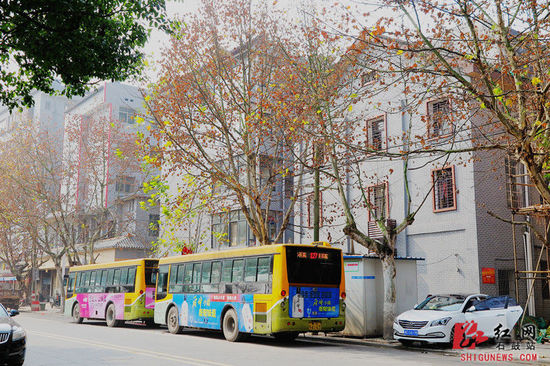 三个仿古建筑改造示范点