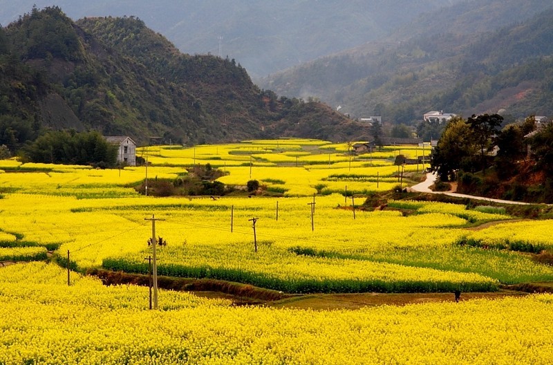 平江:走向中国的激情山水