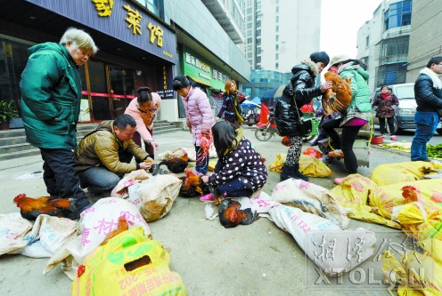 ２月４日，许多市民闻讯赶来抢购鸡。（记者 陈旭东 摄）