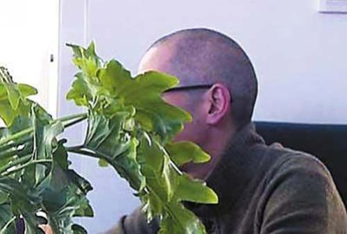 哈尔滨“天价鱼”店被责令停业