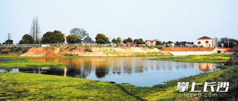 在苏蓼垸现代农业公园，一座座美丽的休闲农庄正在提质。长沙晚报记者 颜家文 摄