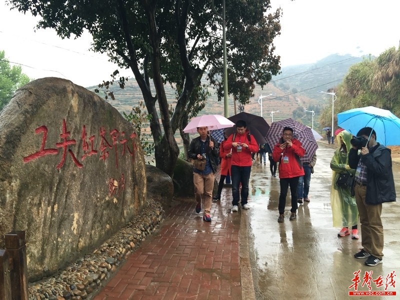 全国网络媒体闽东茶乡行大型采访团一行来到福安市社口镇坦洋村,探访