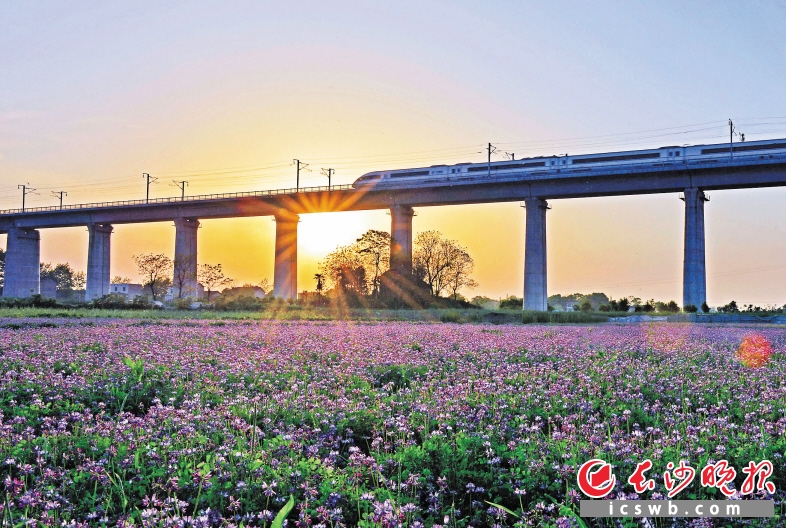 围绕美丽乡村建设，暮云片区将打造成长株潭三市的前厅花园。图为美丽的兴马洲。长沙晚报通讯员 韩斌 摄