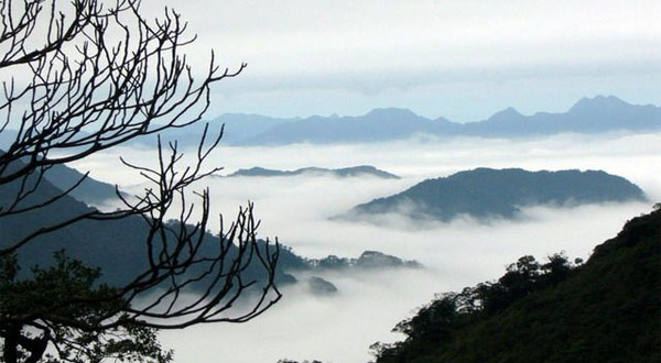 莽山国家森林公园旅游直通车首发式举行