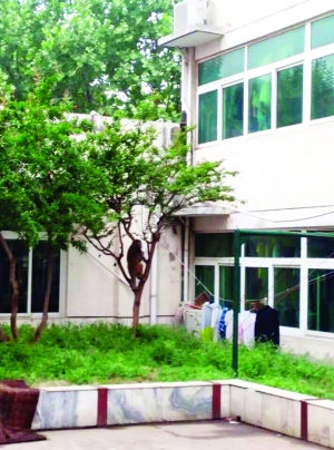 这算什么事，猴哥居然偷窥女生宿舍 学生供图