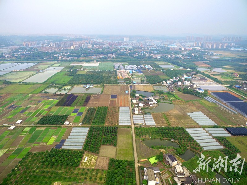 长沙市天心区南托街道美丽乡村