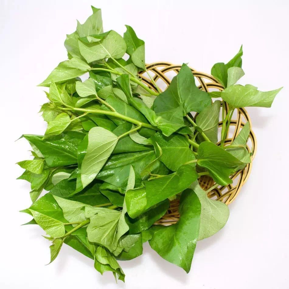 这种叶子在全世界都传疯了!你却不知道它的好?_新湖南网