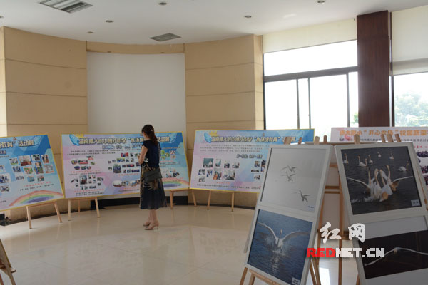 活动中举办了“爱水·惜水·节水”展览。