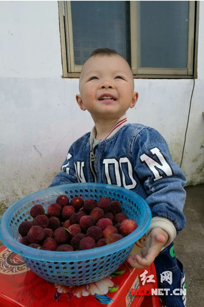 “这么新鲜的杨梅，我决定先吃一个，不，这一盆都是我的啦！”