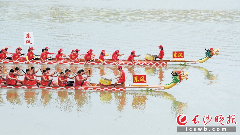 端午佳节即将来临，一些龙舟在浏阳河上进行训练，备战端午节期间的龙舟赛。长沙晚报记者 贺文兵 摄