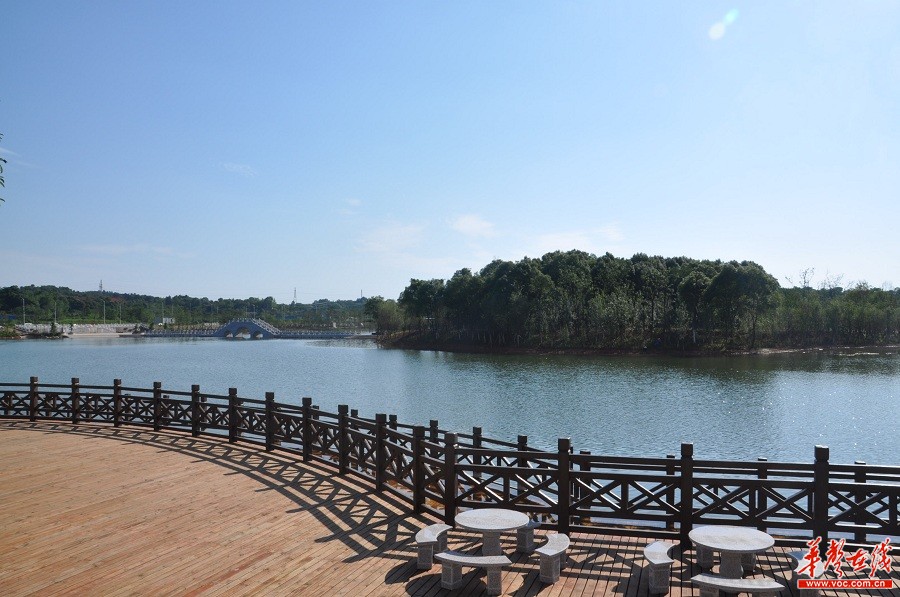 长沙举行造绿复绿项目现场观摩活动 易炼红出席