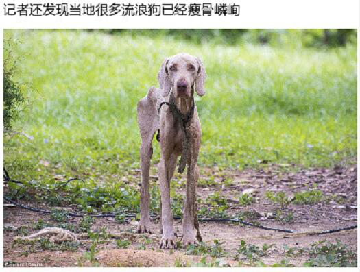 印钱的纸都缺,委内瑞拉欠中国650亿美元拿啥还