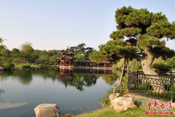 华声在线8月4日讯(记者 黄煌 王雪晴) 8月3日下午,国家旅游局发布公告,长沙橘子洲景区5A级被摘牌,随后,湖南省旅游局党组书记、局长陈献春连夜部署整改工作,并于8月4日上午主持召开局务会,研究全面推进A级景区整改提升和动态监管措施。与此同时,4日上午,省旅游局副局长尚斌已带队到橘子洲景区现场指导,与长沙市副市长廖健带领的市级有关单位负责人共同研究制定全面整改方案,逐项对照标准提出整改时间表,确保今年十一国庆假期前全部整改到位,以崭新的面貌迎接各方游客。 橘洲国庆前要整改到位,当5A要重新申报