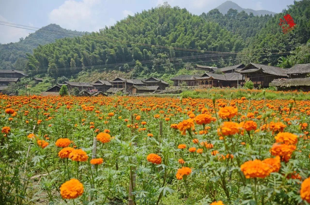 张家界牧笛溪村人口_张家界牧笛溪村图片