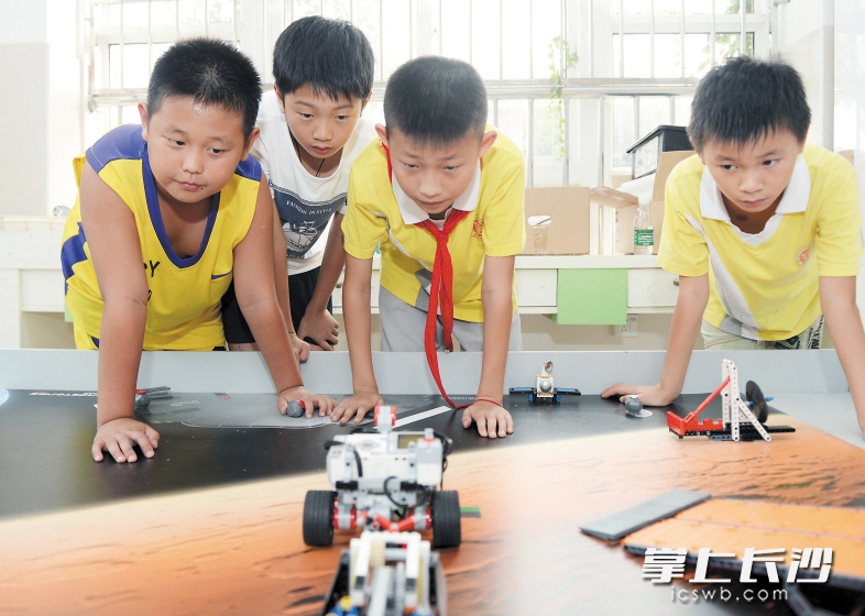 ←在青园中信小学，几名爱好乐高玩具的学生正在动手操作测试程序。长沙晚报记者 邹麟 摄