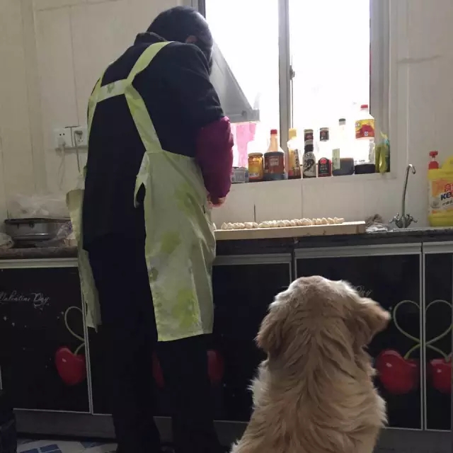 这些写给爸妈暖心的话读起来眼睛真的会红 | 你