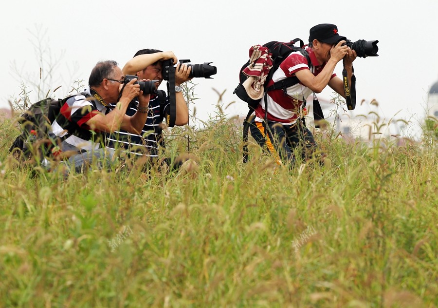 松雅湖畔，如此美景佳人，一大波摄影师扛着“长枪短炮”出动啦!_新湖南网