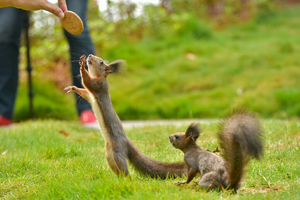 和“小精灵”来一次亲密接触_新湖南网