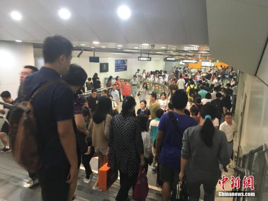 资料图。中新网记者 富宇 摄