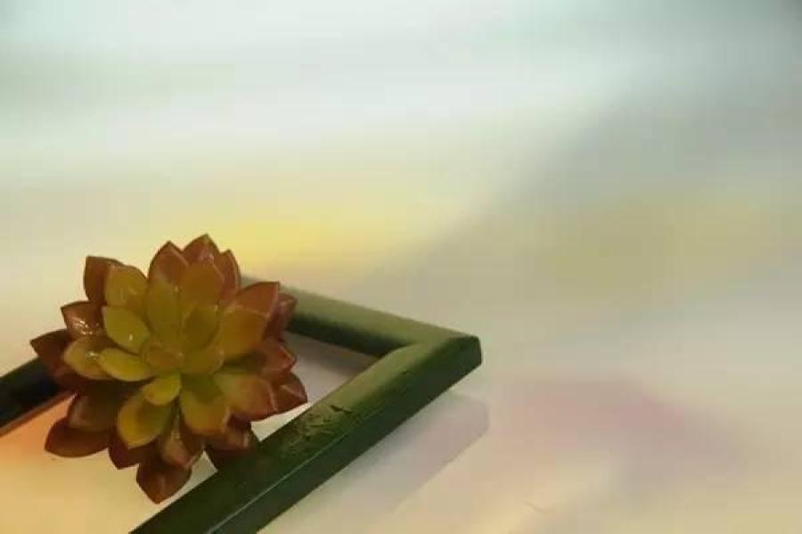 日本88岁老太搞怪拍照讽刺社会成网红