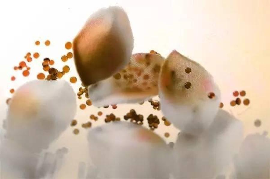 日本88岁老太搞怪拍照讽刺社会成网红