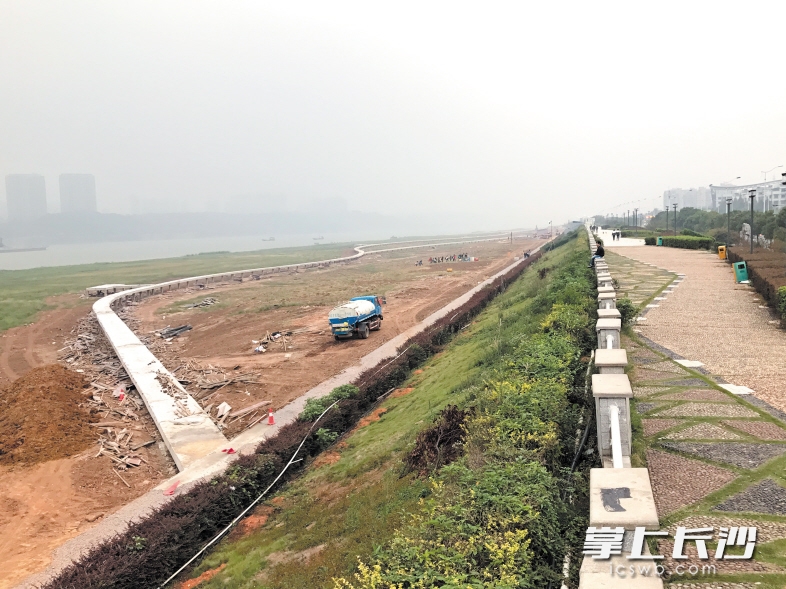 湘江柳叶洲上将建1.5公里长亲水栈道，并设4个亲水平台。目前，该亲水栈道已基本完工。 长沙晚报记者 陈焕明 摄