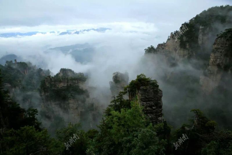 10月22日,武陵源杨家界自然保护区,杨家界峰墙云海景观.