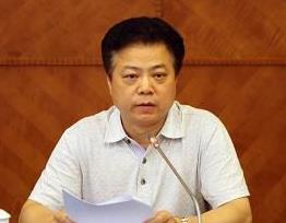 访岳阳市委书记盛荣华：厚植“三宜”底色 率先实现“一极”