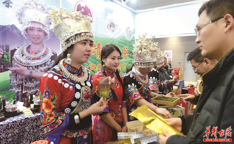 2016中國中部(湖南)農博會長沙開幕(圖1)