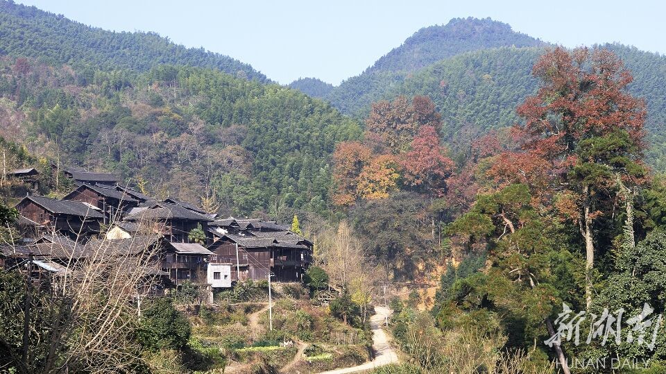 12月4日,记者走进"最美古寨"所在地东安县川岩乡上界头村乐子