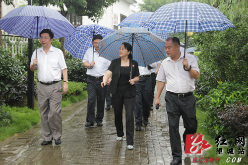 益阳市党政代表团来长沙望城区乔口镇考察新农村建设