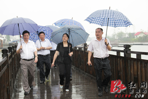 益阳市党政代表团来长沙望城区乔口镇考察新农村建设