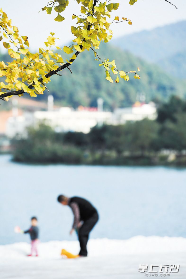 晴天下的梅溪湖畔如同海滨城市一般漂亮。长沙晚报记者 黄启晴 摄