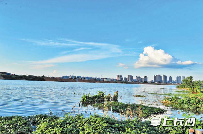 从今年1月1日起，长沙开展为期3个月的环境保护“春雷行动”，聚焦大气、水、声、土壤、危废、固体废弃物等领域存在的突出环境问题和环境违法行为的治理。长沙晚报记者 陈飞 摄