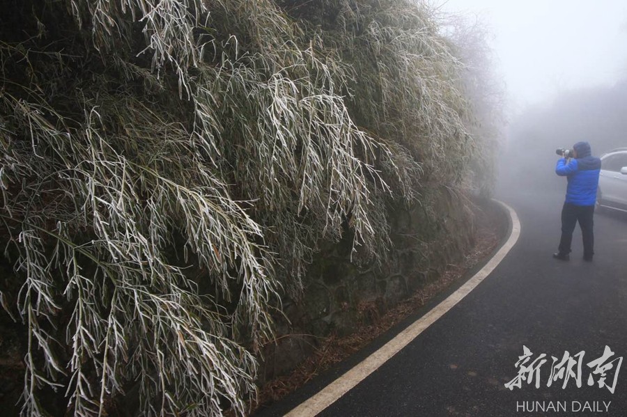 南岳天气预报 (南岳天气预报一周7天查询)