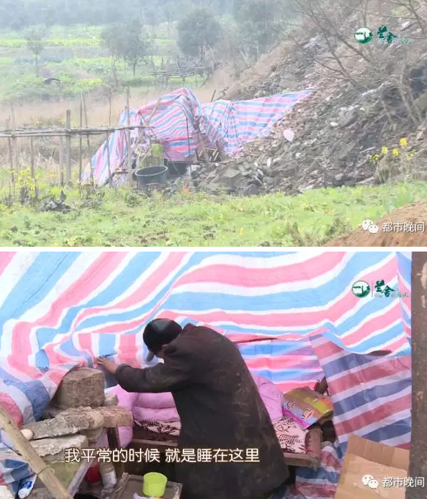 长沙一古稀老人荒野过年 家人称其喜欢流浪