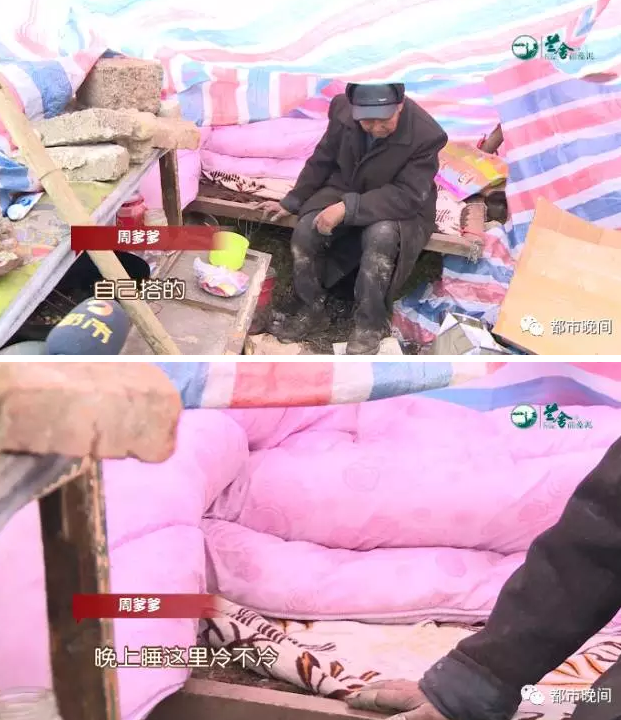 长沙一古稀老人荒野过年 家人称其喜欢流浪