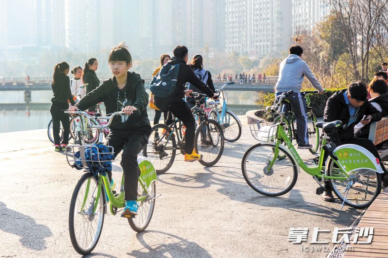 ↑共享单车给人们带来便利的同时,对于小孩子来说也存在一定的安全隐患,家长需要加强监护和安全教育。长沙晚报记者邹麟 摄