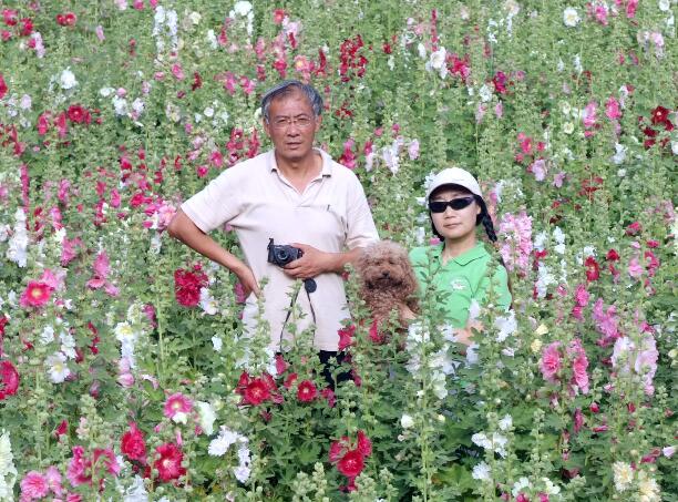 鲜花山谷那对夫妻:一生的爱情承诺