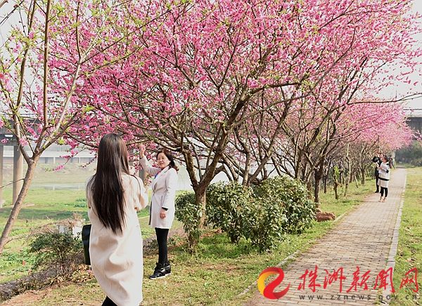 downLoad-20170307143202