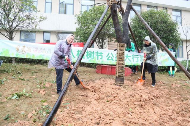 万人齐聚梅溪湖植树 为星城增绿添色 