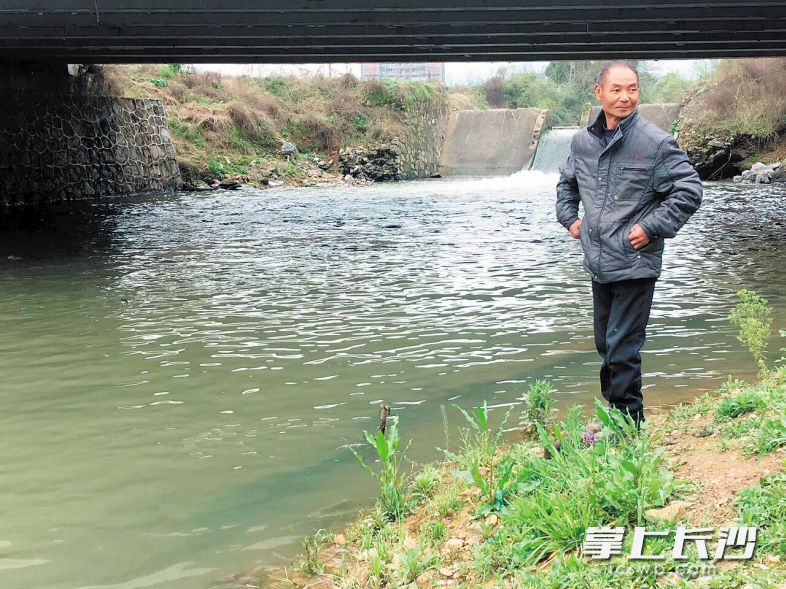 陈大爷在南川河大瑶段捕到娃娃鱼。