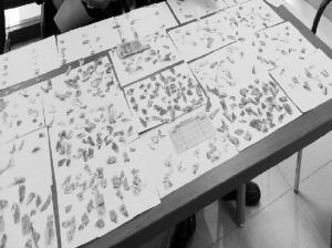  ■撕成碎片的2100元钱全部粘好。（由银行提供）