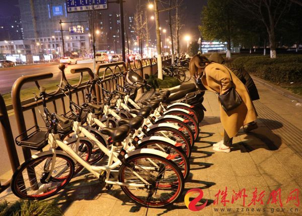 杭州街头的共享单车（资料图）记者 戴凛 供图