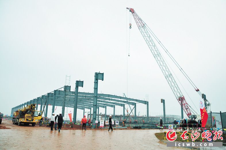 工人们正在抓紧建设中信戴卡厂房。长沙晚报通讯员 高亮 摄