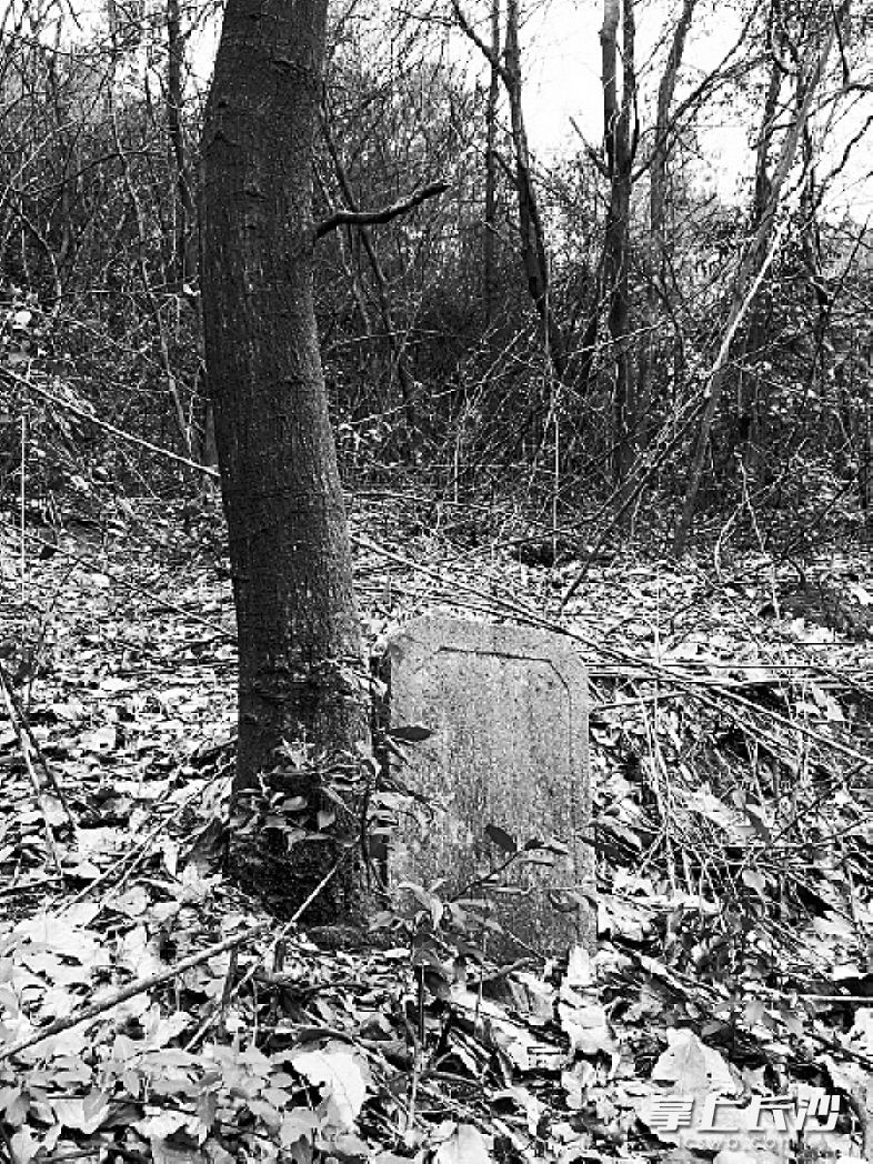 在浙江金华的丁志远墓地。均为受访者供图