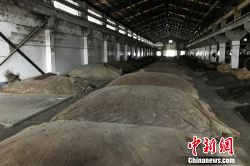 安徽迎驾贡酒分公司内的酿酒工厂。<a target='_blank' href='http://www./' >中新网</a> 种卿 摄